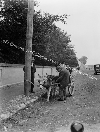 OLD MEN  DONKEY AND CART